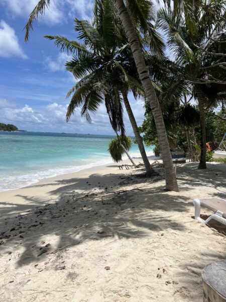 アリフアリフ環礁・ラシドゥ島（住民島）における観光推進プロジェクトに係る事前調査（自治体国際化協会）
